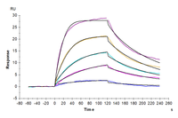 Human BAFF/TNFSF13B/CD257 Trimer Protein (BAF-HM112)