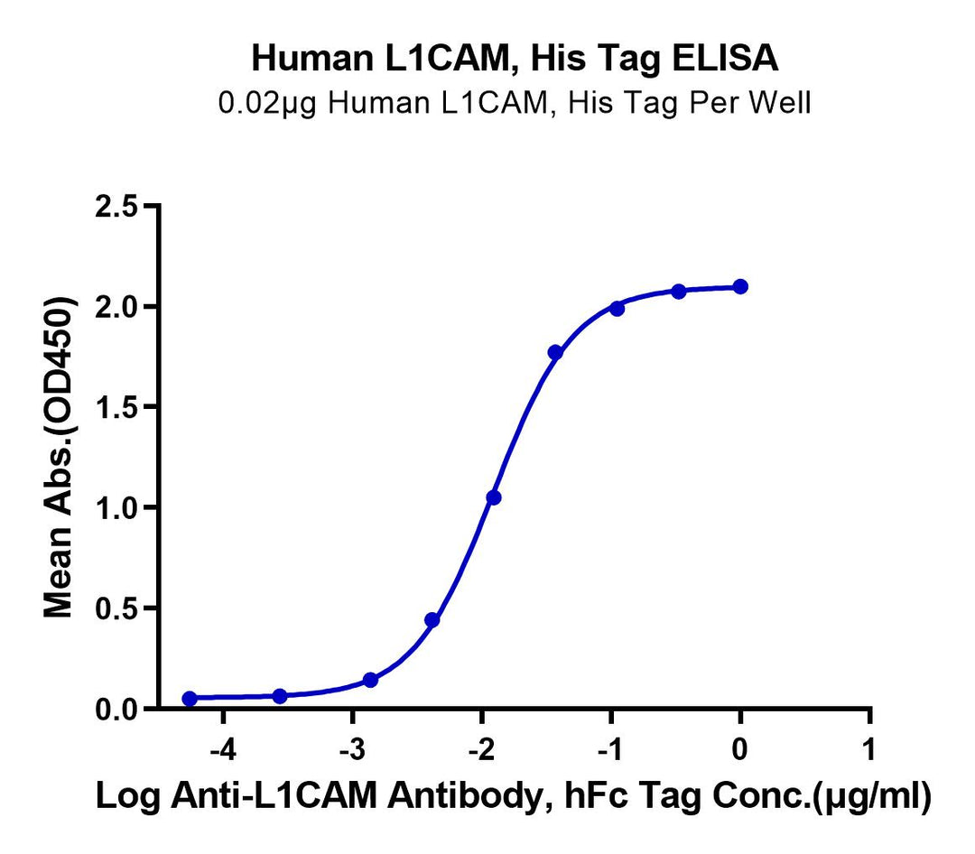 Human L1CAM Protein (LAM-HM101)