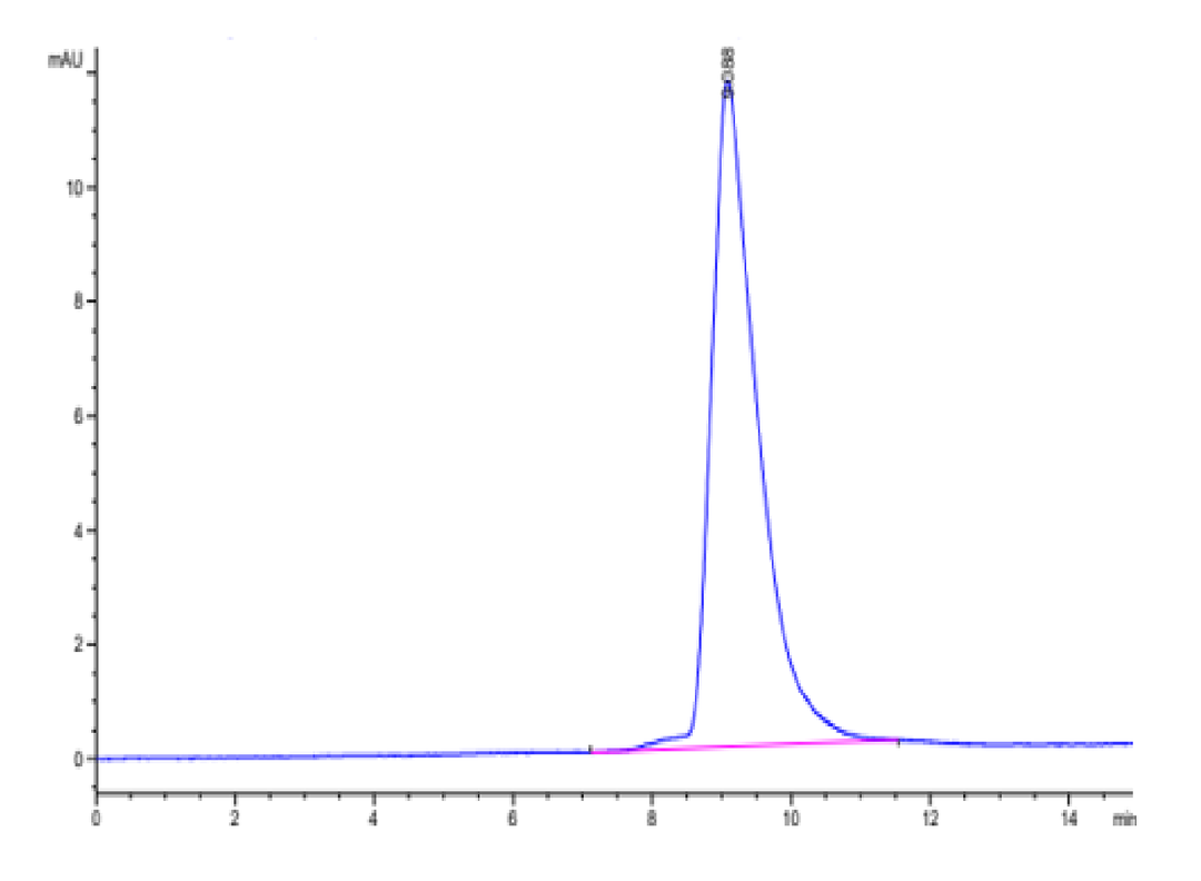 Mouse ANTXR2 Protein (ANT-MM1R2)