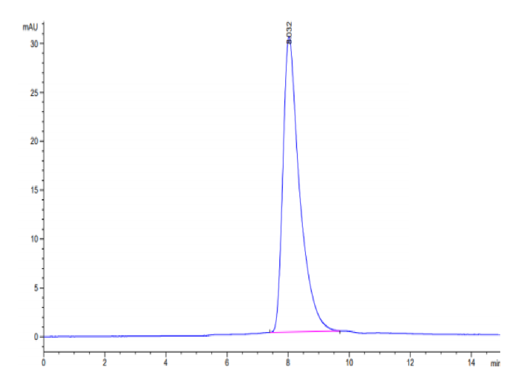 Mouse IL-2 R gamma/CD132 Protein (CD1-MM132)