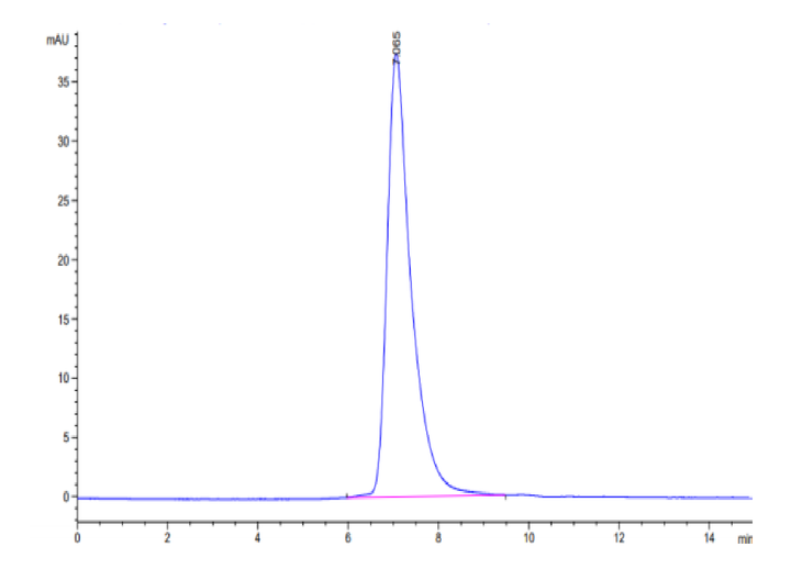 Mouse MERTK/Mer Protein (MEK-MM101)