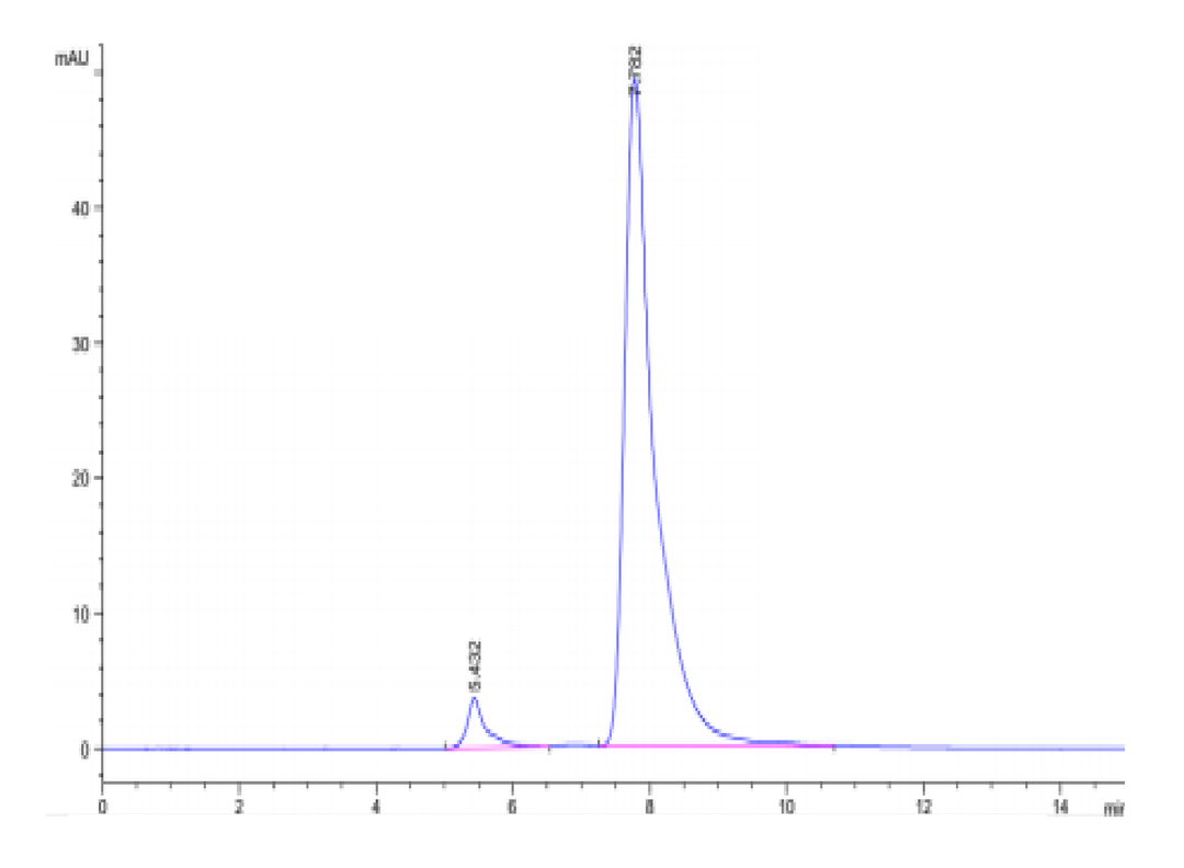 Human CLEC7A Protein (CLE-HM27A)