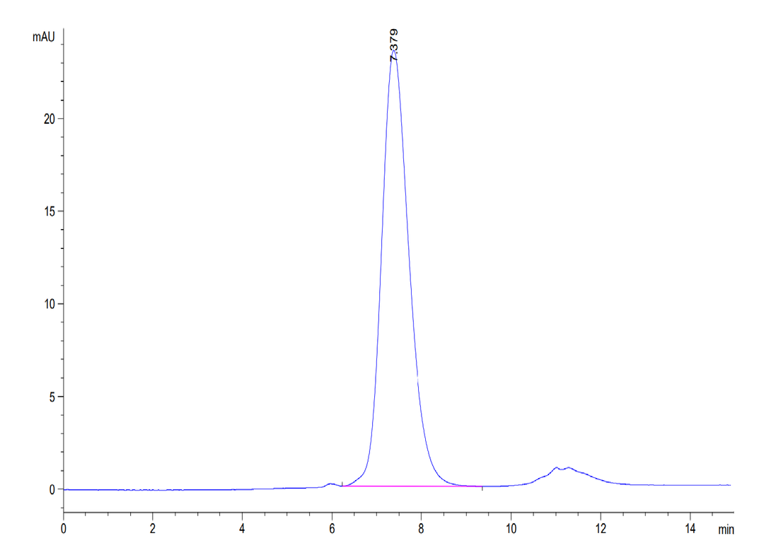 Human FGFR2 beta (IIIc) Protein (FGR-HM1BC)