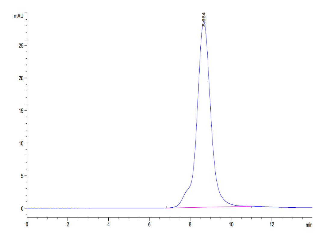 Mouse FGFR2 beta (IIIb) Protein (FGF-MM1BB)