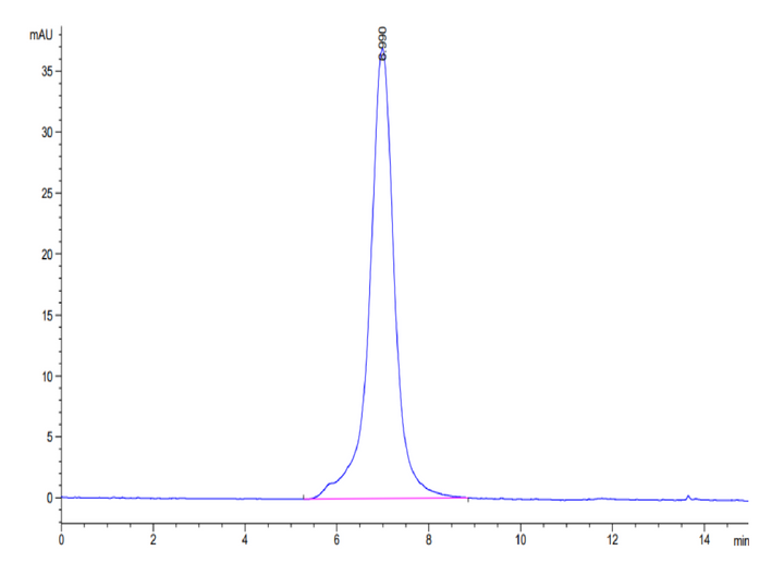 Mouse ALK Protein (ALK-MM201)