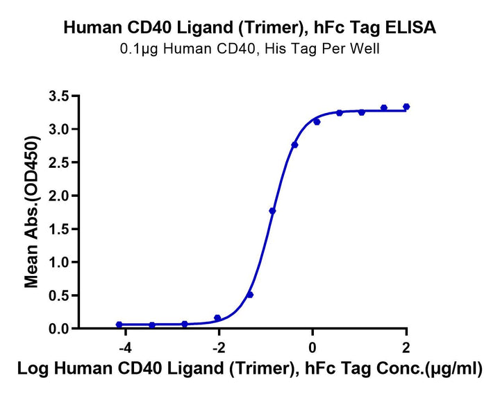 Human CD40 Ligand/TNFSF5 Trimer Protein (CDL-HM240)