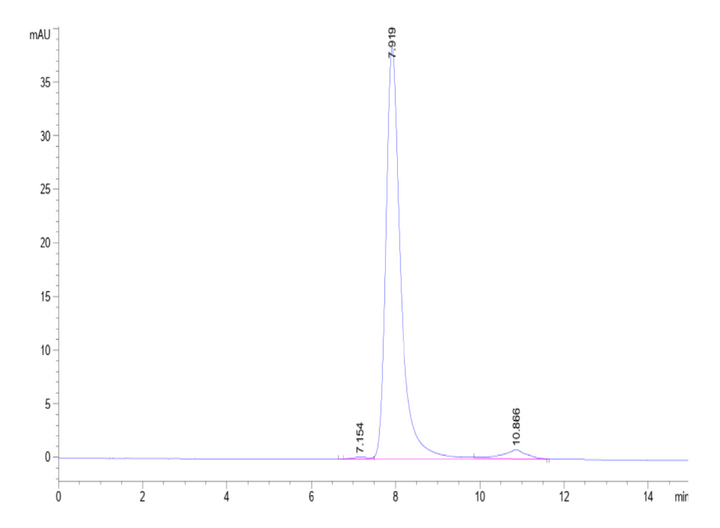 Biotinylated Human DKK1 N terminal Domain Protein (DKK-HM50NB)