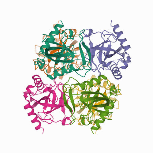 Pyrophosphatase, Inorganic (PYR-EE201)