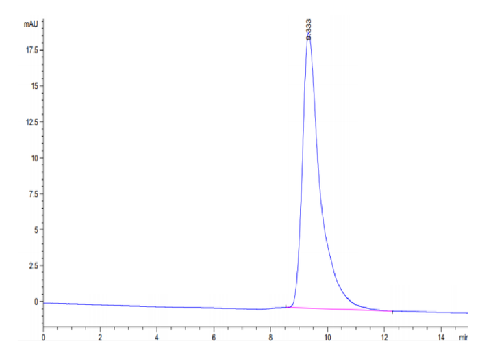 Cynomolgus IL-1 alpha/IL-1A Protein (IL1-CM10A)