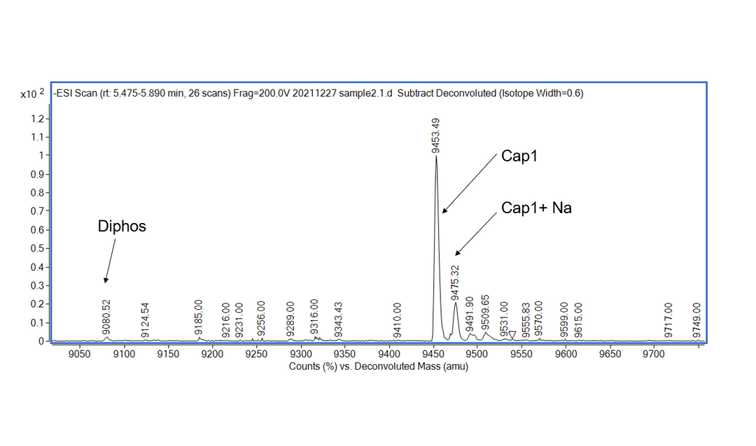 mRNA Cap 2'-O-Methyltransferase, GMP-Grade (GMP-MEH-VE101), DMF #038029