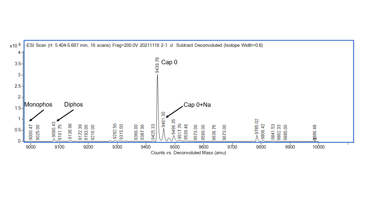 Deconvoluted ESI-MS spectrum showing Monophos, Diphos, Cap 0, and Cap 0+Na peaks from an mRNA sample analysis.