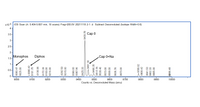Vaccinia Capping Enzyme, GMP-Grade (GMP-VCS-VE101), DMF #038028
