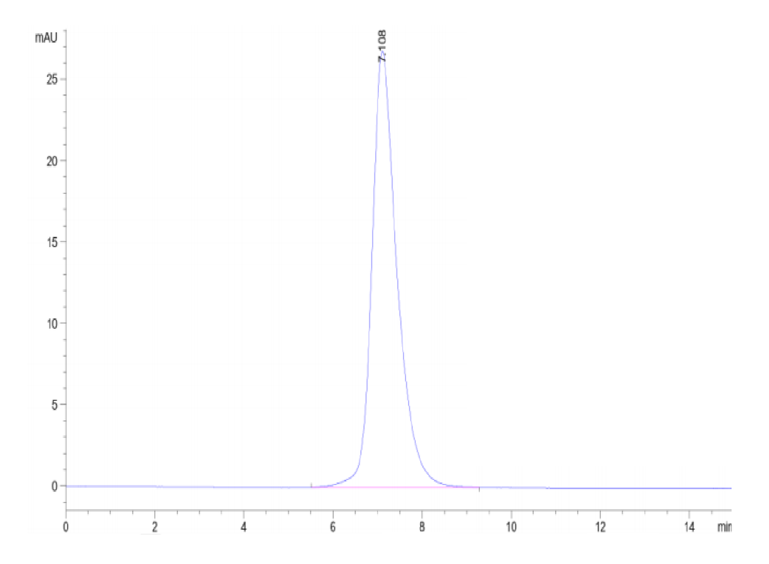 Human IL-2 R gamma/CD132 Protein (CD1-HM232)