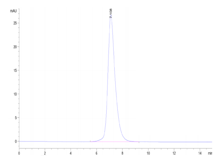 Human IL-2 R gamma/CD132 Protein (CD1-HM232)