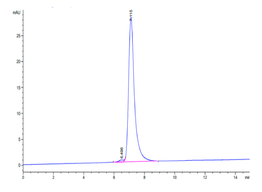 Mouse VEGF R2/KDR Protein (VGF-MM1R2)