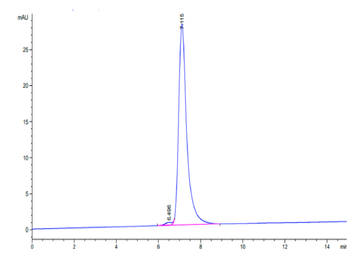 Mouse VEGF R2/KDR Protein (VGF-MM1R2)