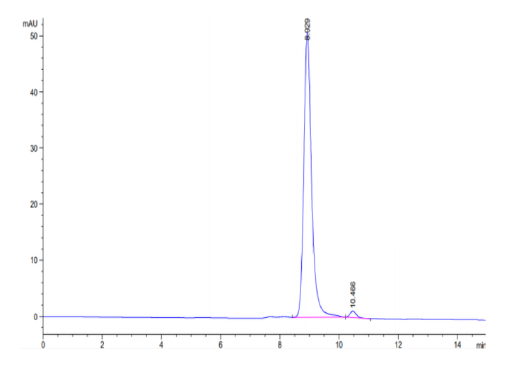 Human LILRB4/CD85k/ILT3 Domain 1 Protein (LB4-HM1D1)