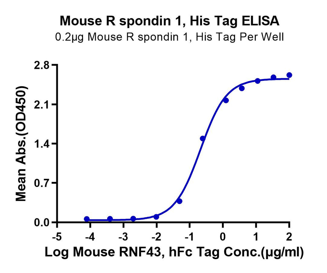 Mouse R spondin 1/RSPO1 Protein (RS1-MM101)