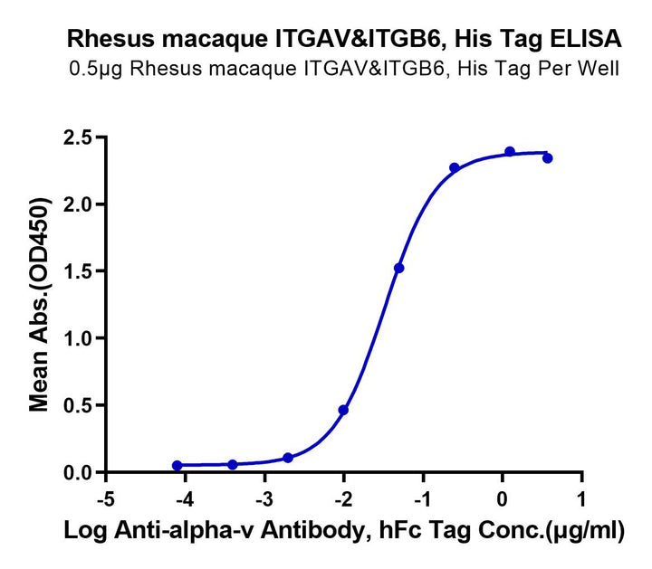 Rhesus macaque Integrin alpha V beta 6 (ITGAV&ITGB6) Heterodimer Protein (ITG-RM1V6)