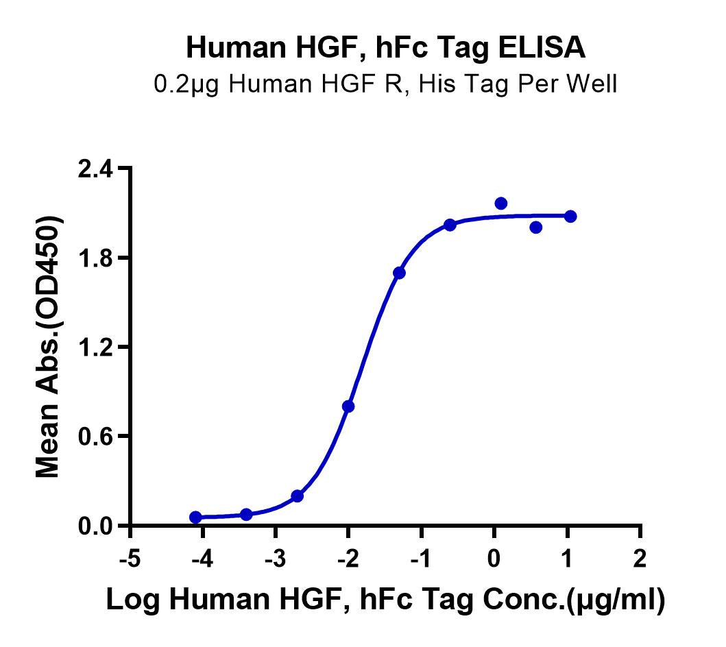 Human HGF Protein (HGF-HM201)