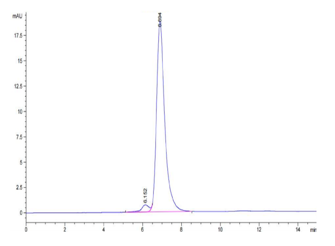 Mouse Integrin alpha V beta 3 (ITGAV&ITGB3) Heterodimer Protein (ITG-MM2V3)