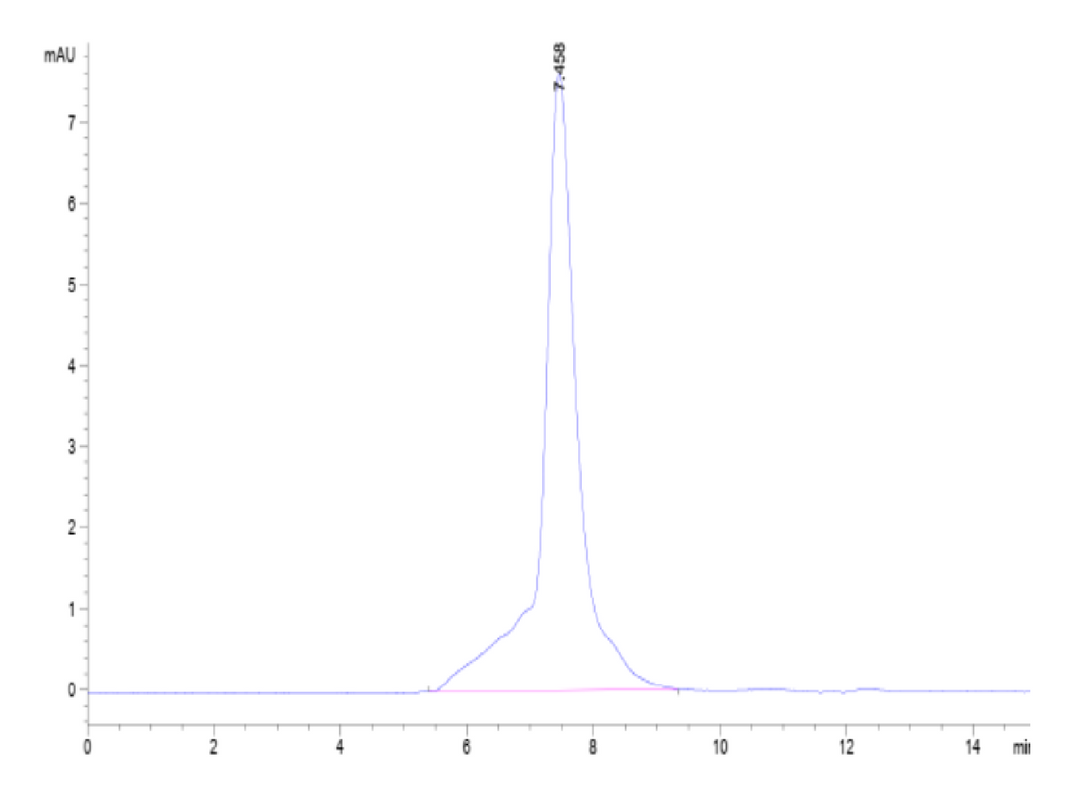 Mouse 4-1BB/TNFRSF9 Protein (BB4-MM141)