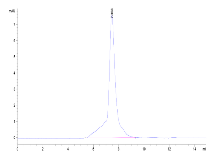 Mouse 4-1BB/TNFRSF9 Protein (BB4-MM141)