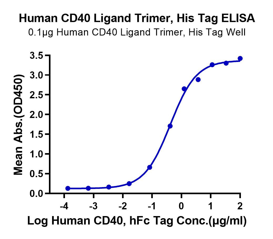 ELISA binding curve for Human CD40 Ligand Trimer, His Tag showing absorbance vs. log concentration of Human CD40 hFc Tag antibody.