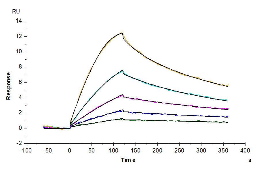 Mouse GDF15 Protein (GDF-ME115)