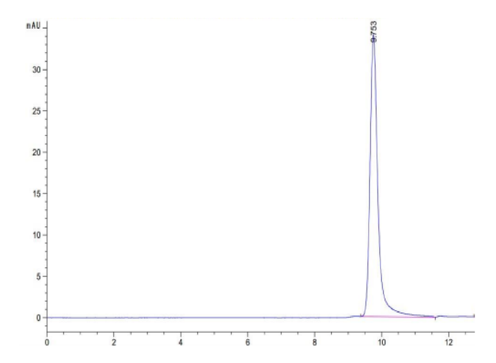 Human PRL-1/PTP4A1 Protein (PRL-HE101)