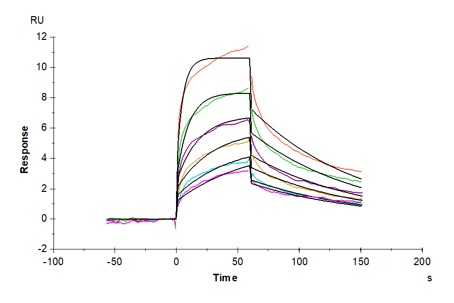 Human BTN2A1 Protein (BTN-HM12A)