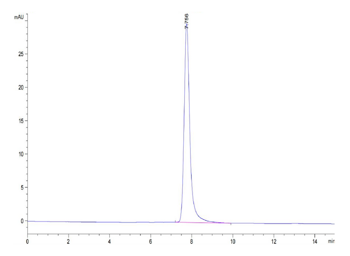 Cynomolgus BCAM Protein (BCA-CM10M)