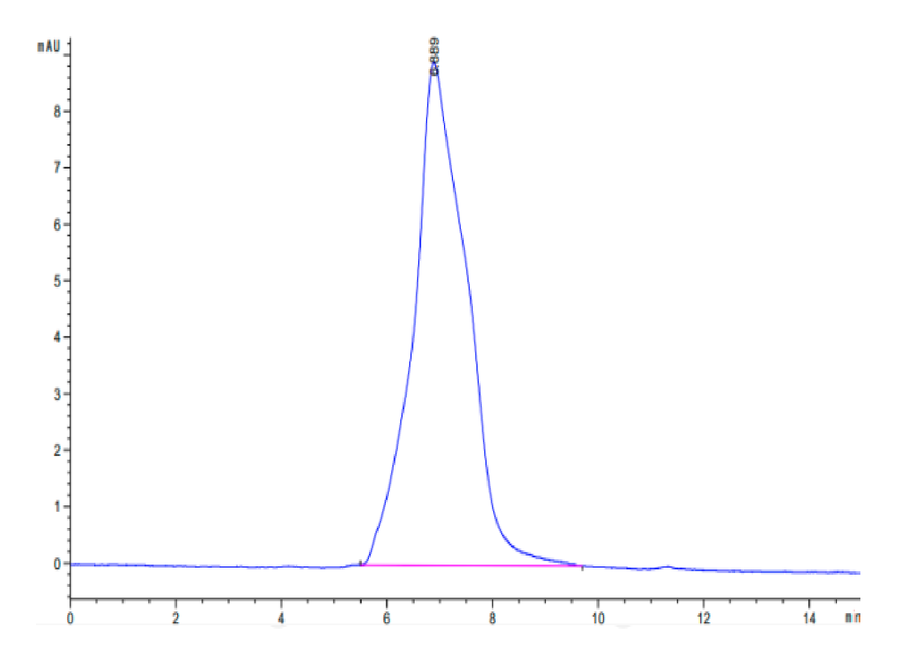 Cdh3 Mouse CDH3/Cadherin 3 Protein (CDH-MM103) | KACTUS