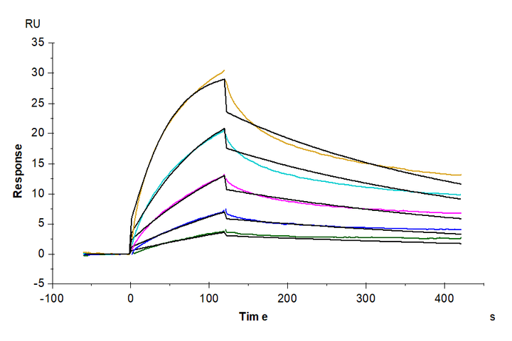 Mouse APOE/Apolipoprotein E Protein (APO-MM102)