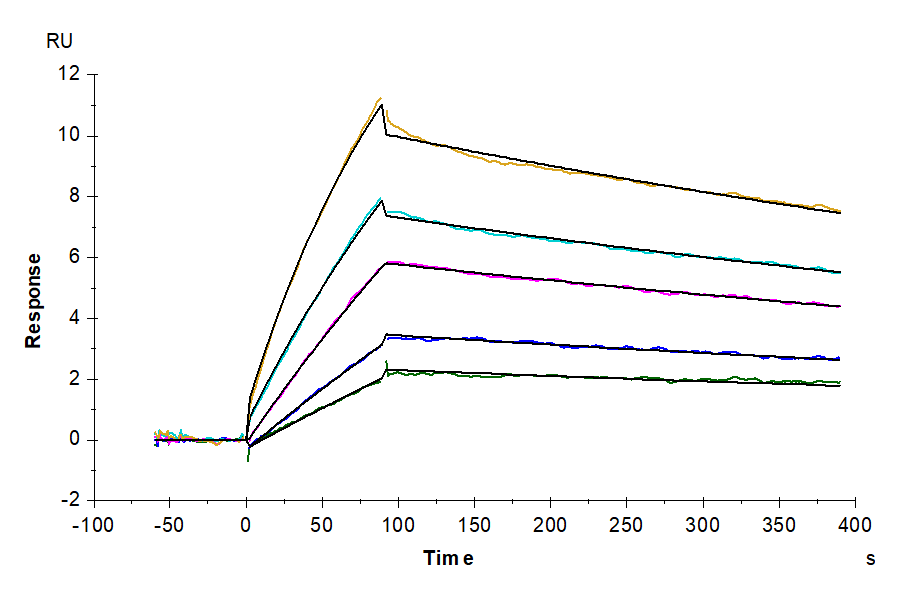 Human APOE4/Apolipoprotein E Protein (APO-HM202)