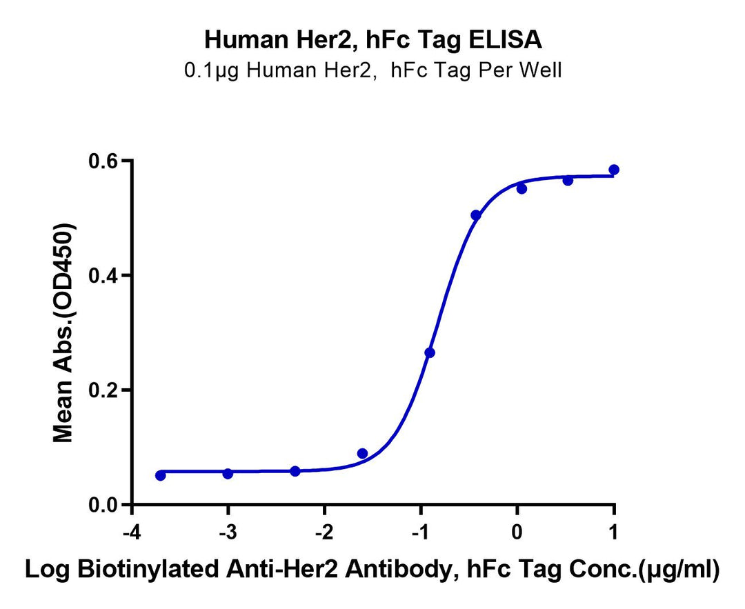 Human Her2/ErbB2 Protein (HER-HM202)