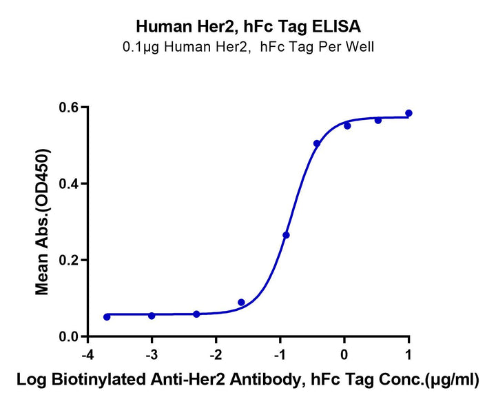 Human Her2/ErbB2 Protein (HER-HM202)