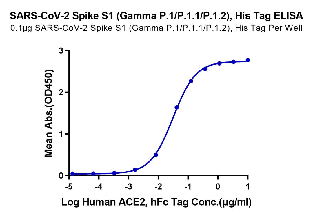 SARS-CoV-2 Spike S1 (Gamma P.1/P.1.1/P.1.2) Protein (GPS-VM1S1)