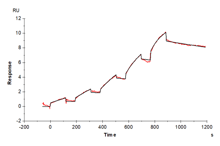 Mouse FLT3/Flk-2 Protein (FLT-MM230)