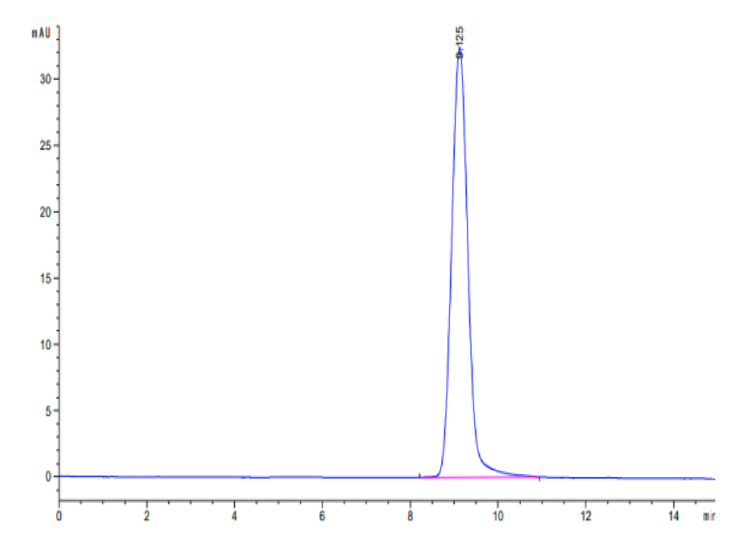 Cynomolgus CA12/Carbonic anhydrase XII Protein (CAS-CM112)