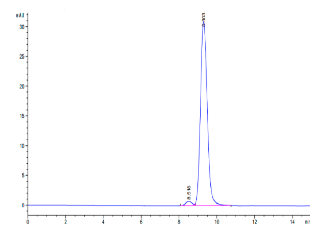 Human CA12/Carbonic anhydrase XII Protein (CAS-HM112)