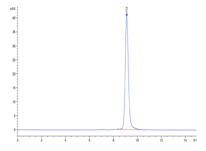 Cynomolgus IL-22R alpha 1 Protein (ILR-CM122)