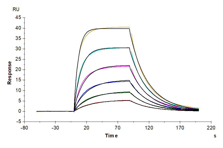 Mouse IL-2 R alpha/CD25 Protein (CD5-MM125)