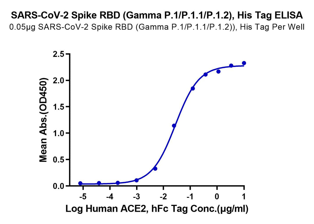 SARS-CoV-2 Spike RBD (Gamma P.1/P.1.1/P.1.2) Protein (GP1-VM1BD)