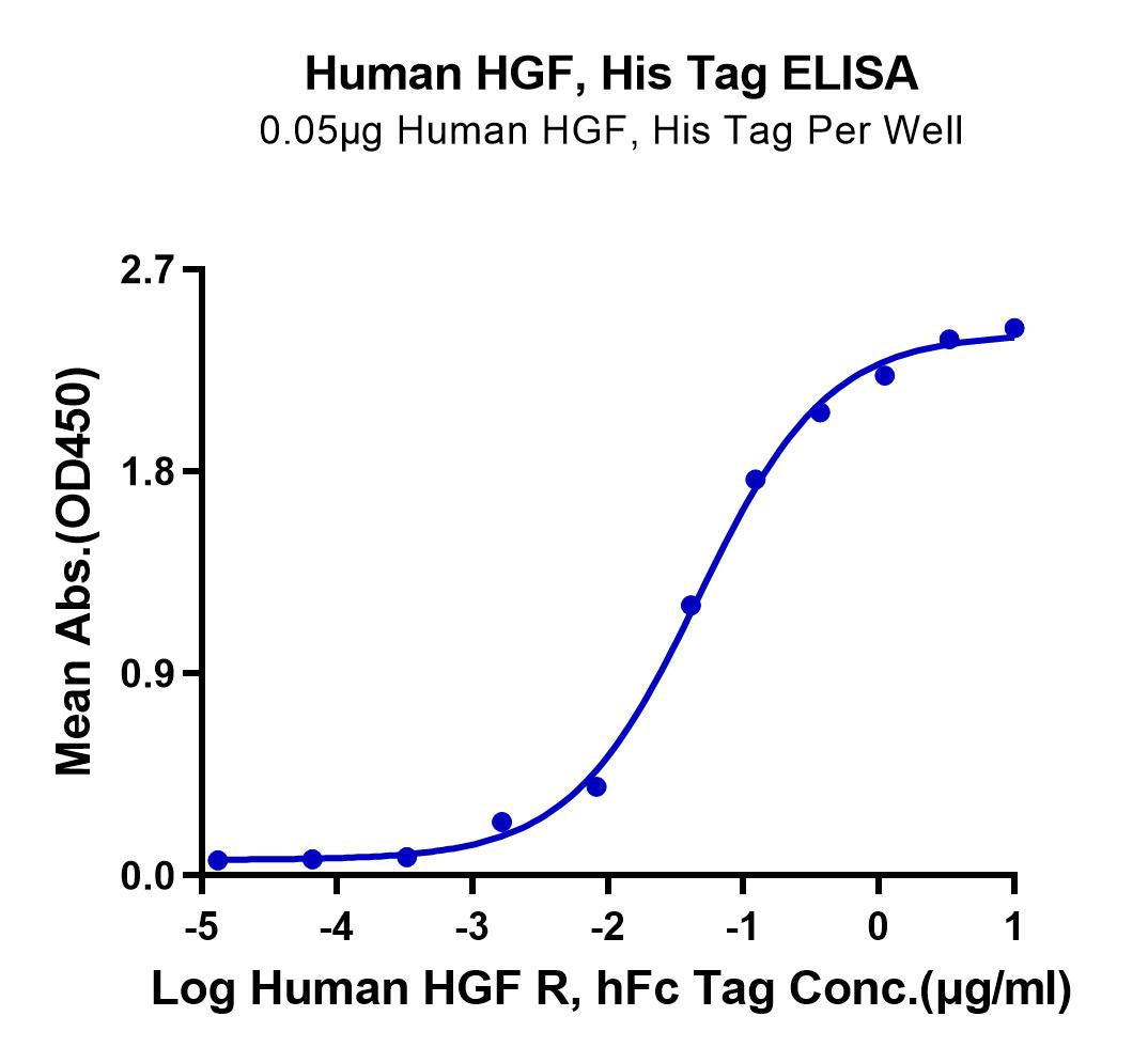 Human HGF Protein (HGF-HM101)