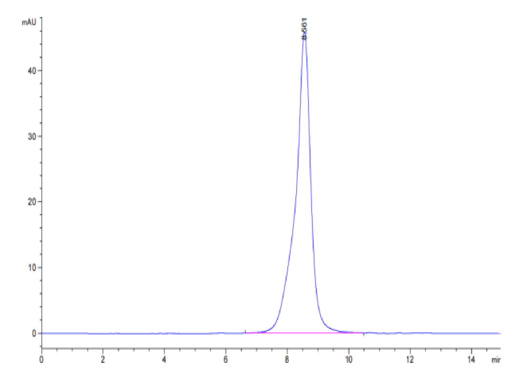 Cynomolgus/Rhesus macaque CD19 Protein (CD1-CM119)