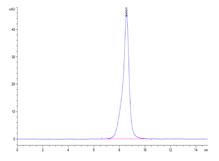 Cynomolgus/Rhesus macaque CD19 Protein (CD1-CM119)