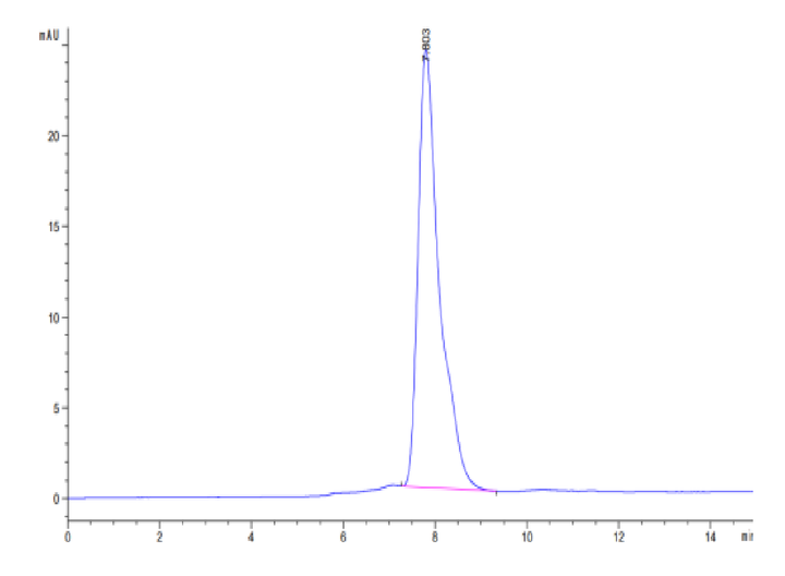 Varicella-zoster virus (strain Oka vaccine) Envelope glycoprotein E Protein (VZV-VM10E)