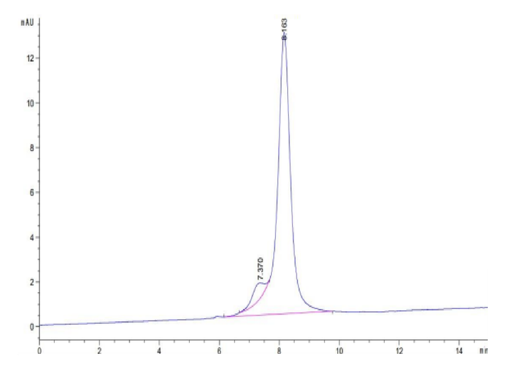 Human CDH6/Cadherin 6 Protein (CHD-HM106)