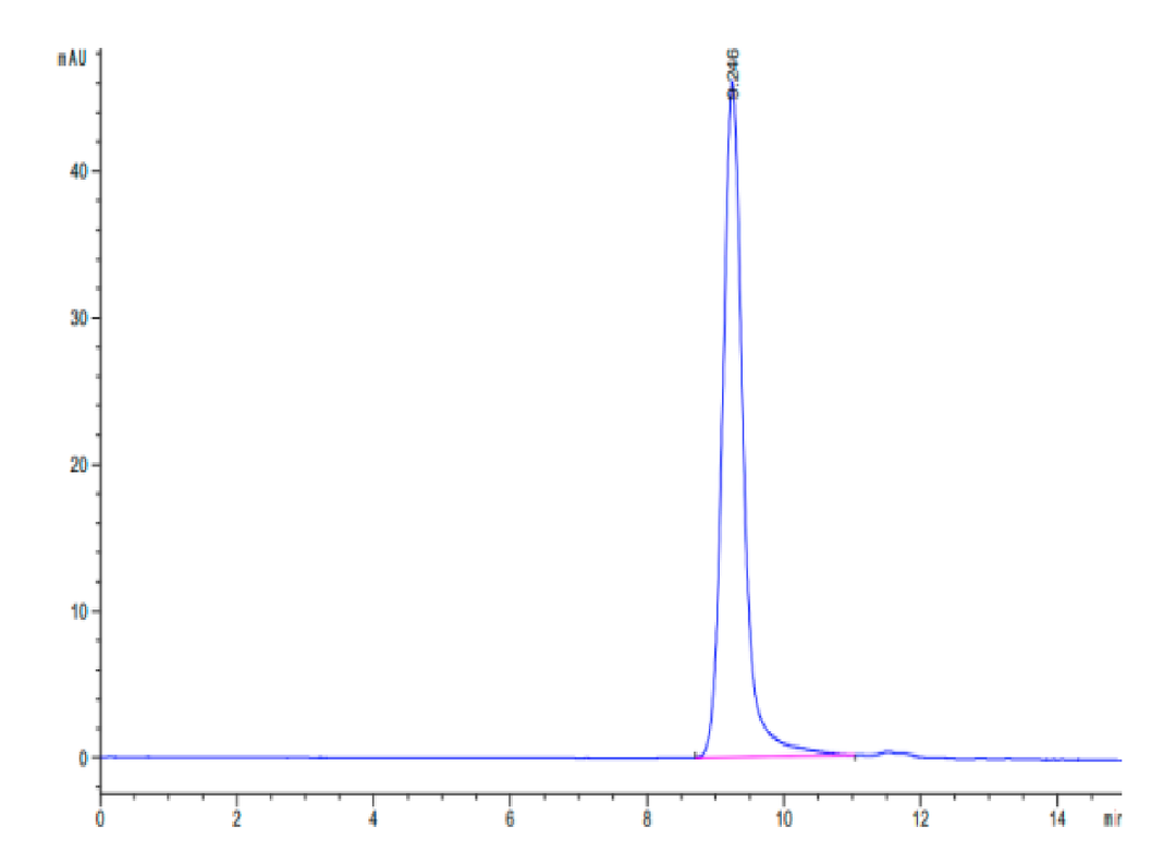 Biotinylated Human HLA-A*11:01&B2M&KRAS G12R (VVVGARGVGK) Monomer Protein (MHC-HM440B)